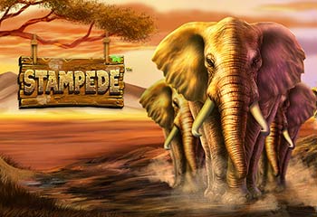 Stampede